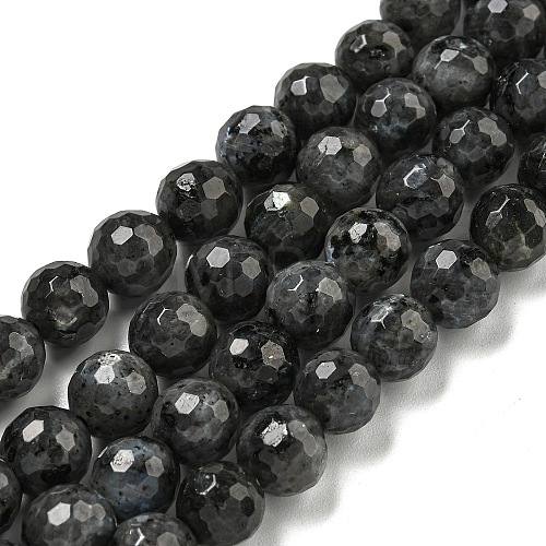 Natural Larvikite Beads Strands G-E571-A09-02-1