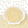 FGB Inside Colours Transparent Glass Seed Beads SEED-T009-01H-1