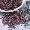 MIYUKI Delica Beads SEED-JP0008-DB1792-4