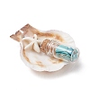 7Pcs 7 Styles Natural Scallop Shell & Dyed Synthetic Turquoise Starfish Pendants PALLOY-JF03564-02-4