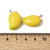 Fruit Theme Resin Pendants RESI-D018-01P-02-3