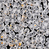 Gradient Color Transparent Frosted Acrylic Beads OACR-M023-06J-3