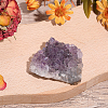 Natural Amethyst Cluster Ornaments DJEW-PA0001-07-4