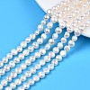 Natural Cultured Freshwater Pearl Beads Strands X1-PEAR-N014-07C-1