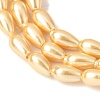 Electroplated Shell Pearl Beads Strands BSHE-C010-01A-3