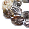 Natural Botswana Agate Beads Strands G-K245-J10-C01-3
