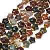 Natural Indian Agate Beads Strands G-Z080-A27-8mm-2