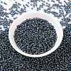 MIYUKI Round Rocailles Beads SEED-X0055-RR2426-2