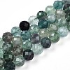 Natural Fluorite Beads Strands G-S345-10mm-31-1