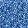 Transparent Inside Colours Glass Seed Beads X1-SEED-A032-04D-3