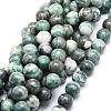 Natural Dioptase Round Beads Strands G-E569-Q01-D-1