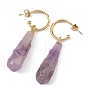 Natural Green Aventurine/Rose Quartz/Amethyst/Agate/Tiger Eye Dangle Earrings EJEW-JE07331-5