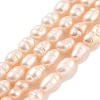 Natural Cultured Freshwater Pearl Beads Strands PEAR-P062-01B-2