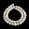 Natural White Moonstone Beads Strands G-L664-A01-8mm-4