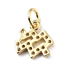 Brass Micro Pave Cubic Zirconia Charms ZIRC-F131-16G-04-2