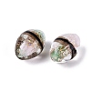 Two Tone Color Handmade Foil Glass Beads FOIL-Q001-01G-3
