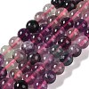 Natural Fluorite Beads Strands G-P530-B09-03-1