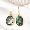 Brass Natural Paua Shell Dangle Earrings EJEW-M060-19C-G-1