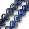 Natural Sodalite Beads Strands G-B022-36C-2