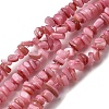 Natural Freshwater Shell Beads SHEL-B003-01K-1