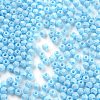 Baking Paint Glass Seed Beads SEED-A032-02L-3