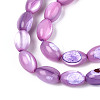 Natural Trochus Shell Beads Strands SHEL-K006-19-01D-3