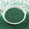 MIYUKI Round Rocailles Beads SEED-X0056-RR0173-2