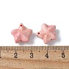 Natural Rainbow Alashan Agate Charms G-G194-02D-3