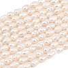 Natural Cultured Freshwater Pearl Beads Strands PEAR-F020-20A-2
