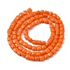 Opaque Glass Beads Strands GLAA-L050-C18-2