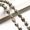 Natural Dalmatian Jasper Beads Strands G-B106-A29-02-2