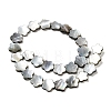 Natural Black Lip Shell Beads Strands SHEL-M021-02B-2