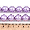Electroplated Shell Pearl Beads Strands BSHE-F018-01-5