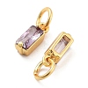 Brass Micro Pave Cubic Zirconia Charms ZIRC-F111-03G-12-2