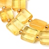 Natural Amber Beads Strands G-C260-A01-04-4