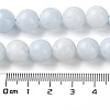 Natural Celestite/Celestine Beads Strands G-M414-A01-04-4