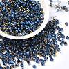 Glass Seed Beads SEED-H002-B-D215-1