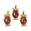 Natural Red Jasper Pendant KK-F887-02G-19-1