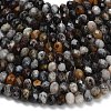 Natural Gemstone Beads Strands G-Z111-A34-4
