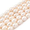 Natural Cultured Freshwater Pearl Beads Strands PEAR-I007-01E-06A-2