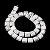 Natural Howlite Beads Strands G-L596-A19-01-3