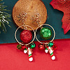 Alloy Enamel Dangle Stud Earrings FS-WG05549-02-1