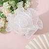 10 Yards Organza Pleated Lace Ribbon OCOR-GL0001-12A-5