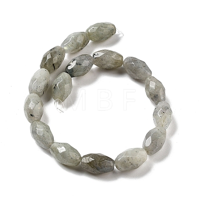 Natural Labradorite Beads Strands G-P520-C08-01-1