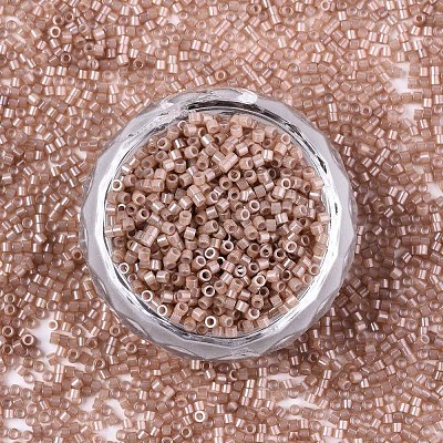 11/0 Grade A Baking Paint Glass Seed Beads SEED-S030-1145-1