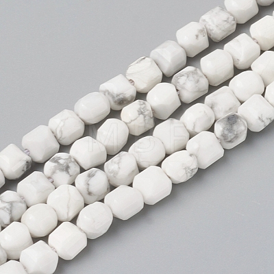 Natural Howlite Beads Strands G-I270-09-1