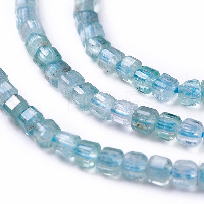 Natural Apatite Beads Strands G-G991-C03-1