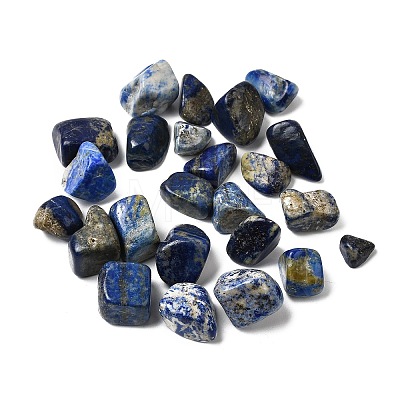 Natural Lapis Lazuli Beads G-O029-08V-1