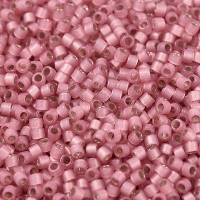 MIYUKI Delica Beads X-SEED-J020-DB2189-1