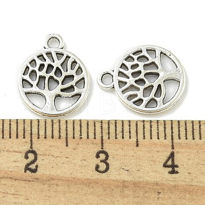 Tibetan Style Alloy Pendants  TIBE-I026-5990AS-1